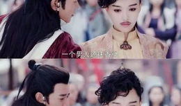 女扮男装电视剧,揭秘女扮男装电视剧的精彩世界