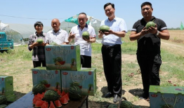 小网红吃瓜视频爆料网页,吃瓜视频爆料网页大揭秘！