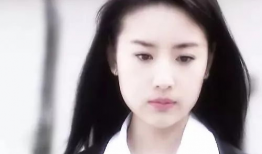 董洁主演的电视剧,演绎传奇人生